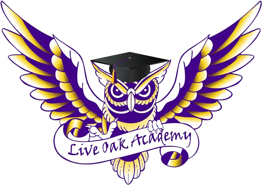  Download Graduation Cap U0026 Gown Live Oak Academy Hays Png Purple Owl In Cap And Gown Cap And Gown Icon