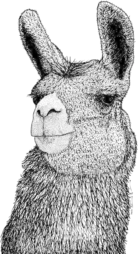  Llama Png By Birdy212 Drawing Llama Png