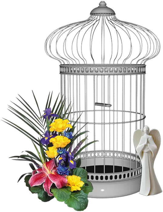  Silver Cage Png Image Free Download Jr Cage Png