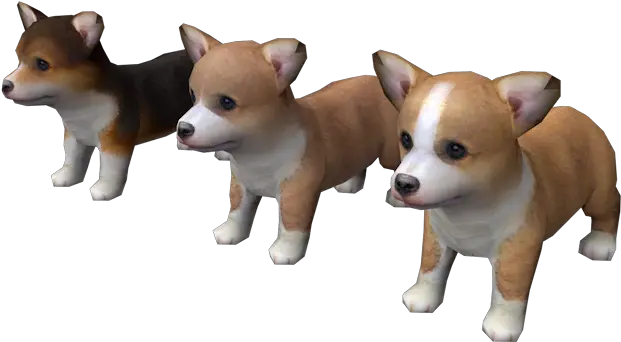  Ds Dsi Nintendogs Pembroke Welsh Corgi The Models Nintendogs Corgi Png Corgi Png