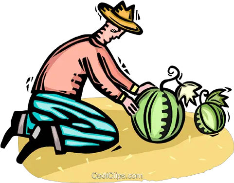  Farmer Tending To His Watermelons Royalty Free Vector Clip Farmer Pulling Watermelon Clipart Png Watermelon Png Clipart