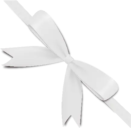  White Ribbon Bow Transparent Png White Gift Bow Vector White Bow Png