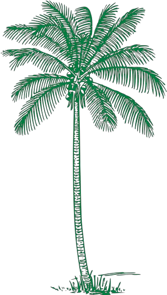  Palm Tree Png Svg Clip Art For Web Download Clip Art Png Palm Tree Drawing Png Palm Tree Emoji Png