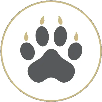  Icons Cu Denver Lynx Central Dot Png Paw Icon