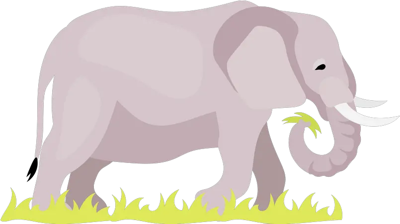  Elephant Icon Download In Glyph Style Elephant Eating Grass Clipart Png Elephant Tusk Icon