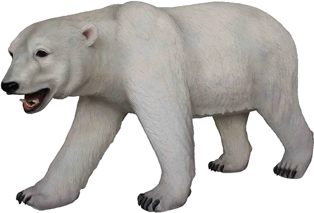  Download Polarbearpngtransparentimagestransparent Polar Bear Png Transparent Polar Bear Png