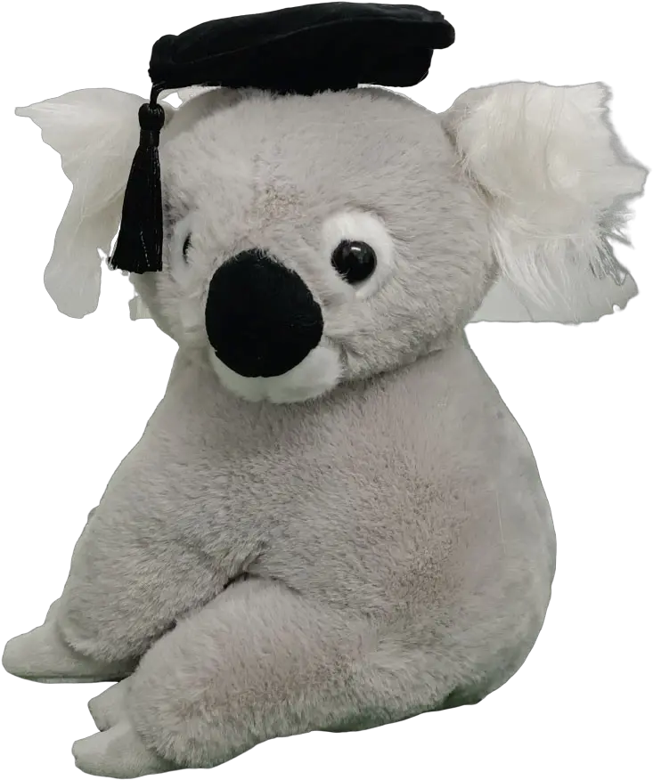  Graduation Koala Bear Plush With Mortarboard Teddy Bear Png Koala Bear Png