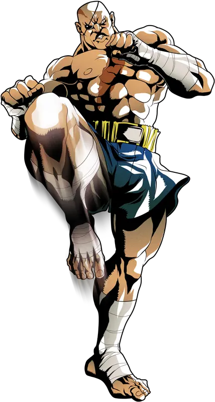  Sagat Street Fighter Png 3 Image Sagat Street Fighter Png Fighter Png