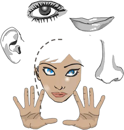  Senses For Women Png 5 Senses Icon