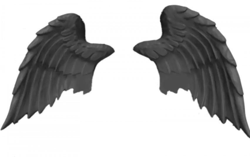  Bird Angels Wings Png Transparent Photo Image Free Pankh Png Wings Transparent