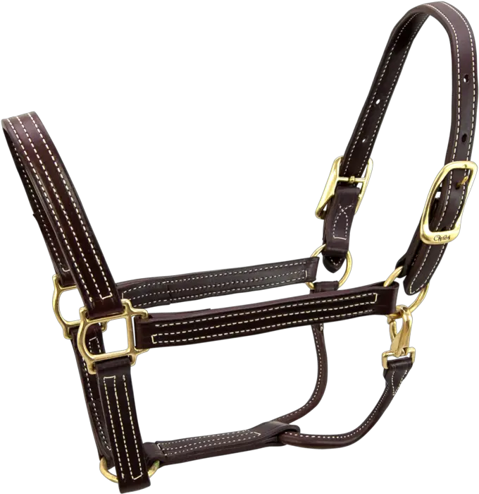  British Halter 5100 Leather Halters Nz Plain Png Leather Png