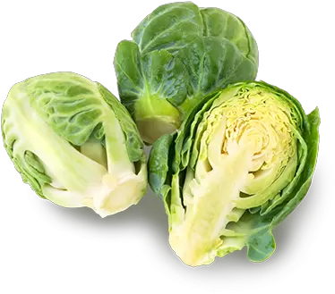  Brussels Sprouts The Oppenheimer Group Cabbage And Brussels Sprouts Png Sprout Png