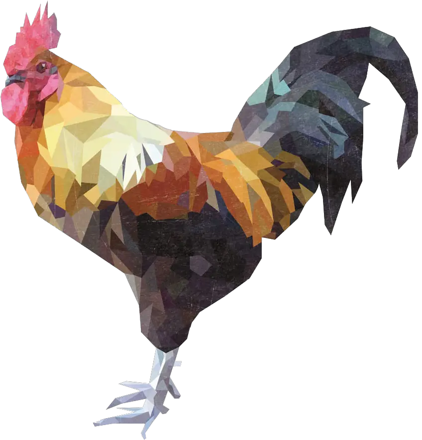  Cock Png Chicken Vs T Rex Rooster Png