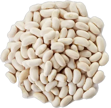  White Beans Lazez Natural Taste Of Freshness Navy Bean Png Beans Transparent