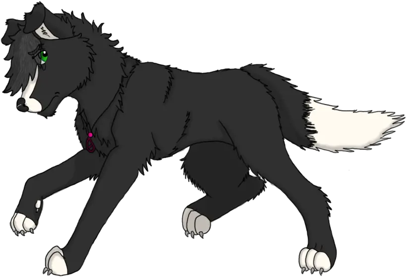  Border Collie Tf 4 By Forgottenbreed Fur Affinity Dot Net Dog Catches Something Png Border Collie Png