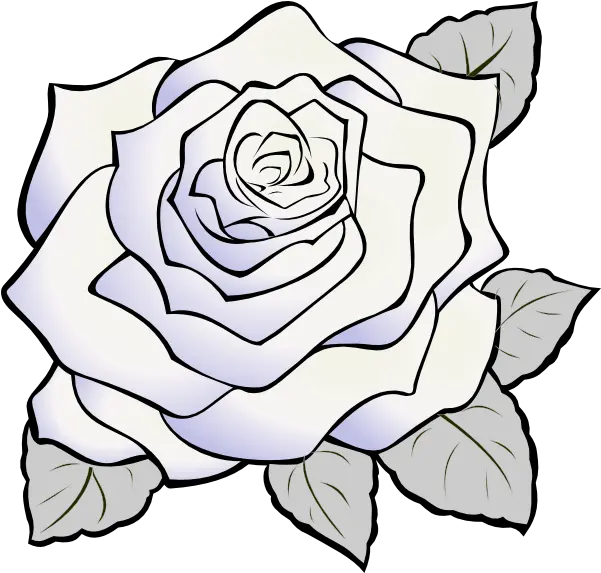  White Rose Png White Rose Clip Art White Roses Png