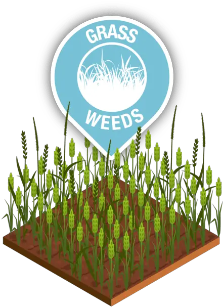  Our Virtual Farm Syngenta Vertical Png Farm Icon Free