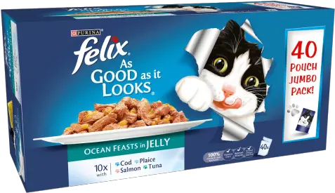  Felix Cat Food Pouches As Good It Looks Ocean Feasts In Jelly 40x100g Felix The Cat Food Png Felix The Cat Png