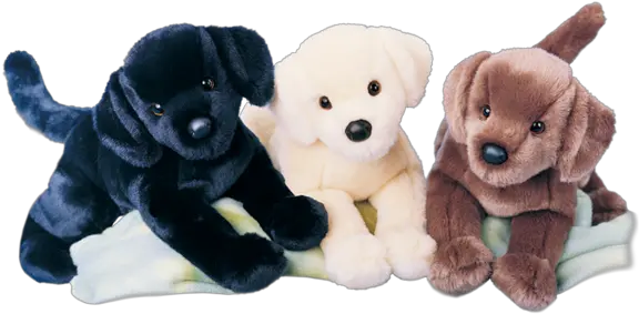  Download Douglas Cocoa Chocolate Lab Black Labrador Plush Labrador Retriever Png Black Lab Png