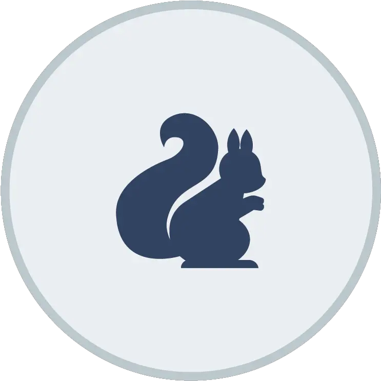  Learning Center Eastern Gray Squirrel Png Squirrel Icon