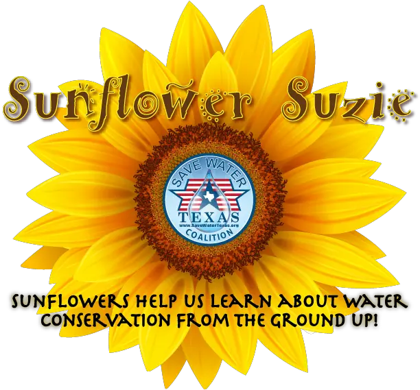  Sunflower Suzie Vetor Girassol Desenho Png Sunflower Logo