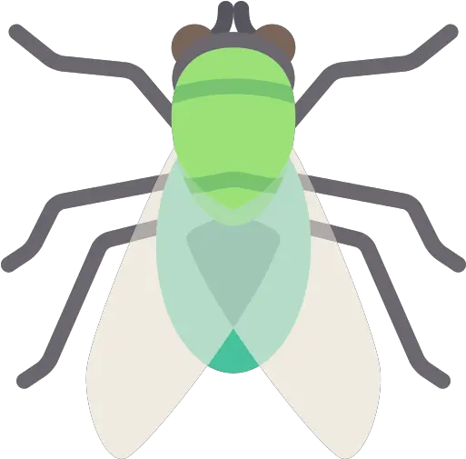  Fly Insect Png Icon Gambar Lalat Kartun Fly Png