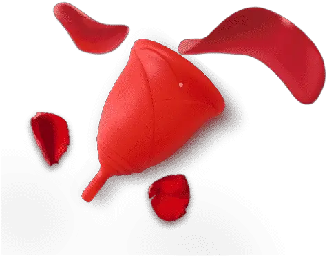  Rose Petals Sileu Cup Menstrual Cup And Accessories Lovely Png Rose Petals Transparent