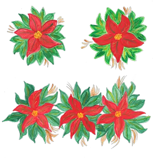  Over 30 Free Poinsettia Vectors Pixabay Pixabay Decorative Png Poinsettia Icon Png