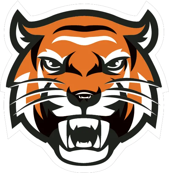  Tiger Head Transparent Imagenes Para Youtube Perfil Png Tiger Head Png