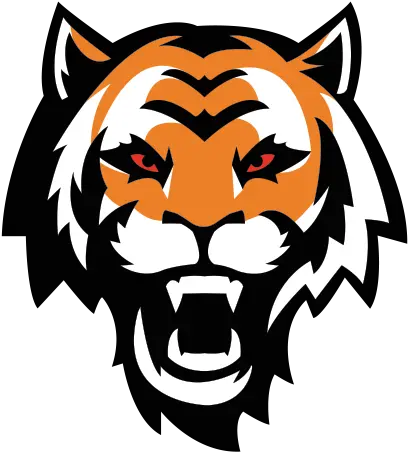  Printed Vinyl Tiger Head Stickers Factory Tiger Png Tiger Head Png