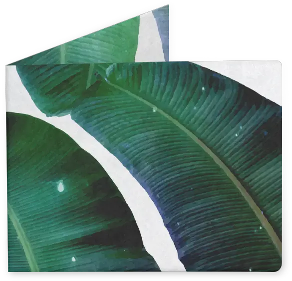  Carteira Cosmic Banana Leaves De 83 Orangesna Roystonea Art Png Banana Leaves Png