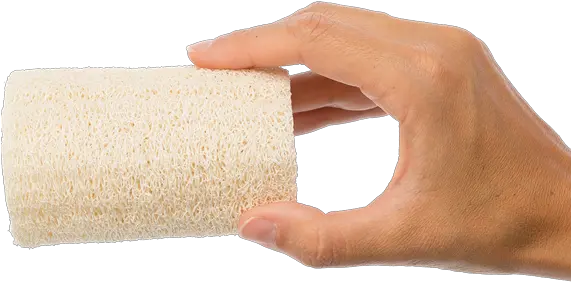  Loofah Sponge Anyah Gfl Skin Care Carpet Png Sponge Png