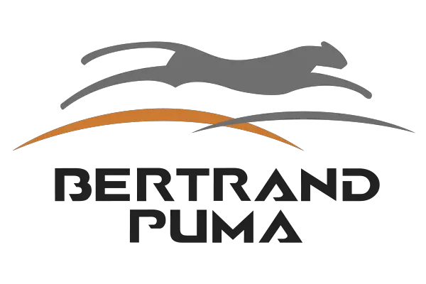  Bertrand Graphic Design Png Puma Png