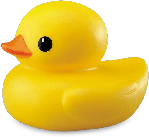  Download Duck Transparent Hq Png Image Transparent Background Duck Png Duck Png