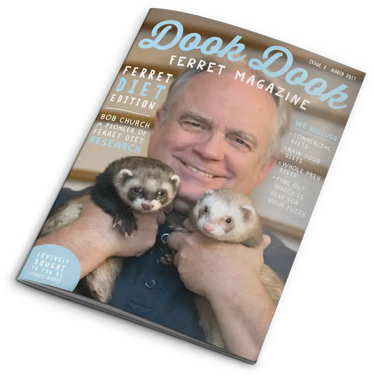  Ferret Magazine Subscription And Membership Details Sea Otter Png Ferret Png