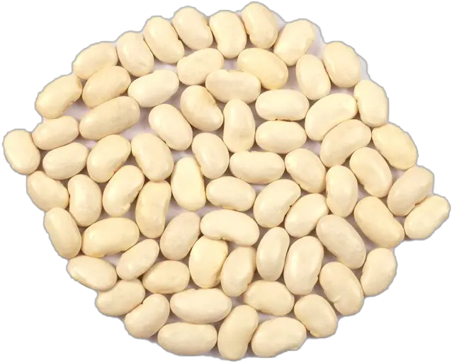  Kidney Beans Png Pic Background Play Seed Beans Png