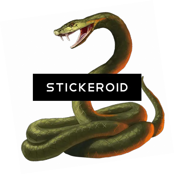  Download Cobra Snake Head Png Image Portable Network Graphics Snake Head Png