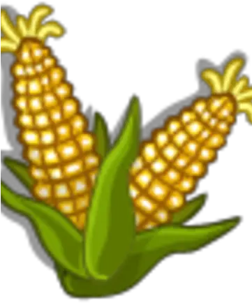  Sweet Corn Australia Farmville Wiki Fandom Floral Design Png Corn Stalk Png