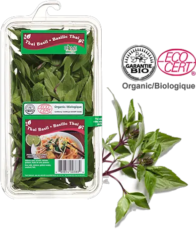  Download Water Spinach Full Size Png Image Pngkit Eco Cert Spinach Png