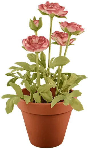  Convert Png To Gif Online Png Tools Potted Plant Transparent Background Plant Pngs