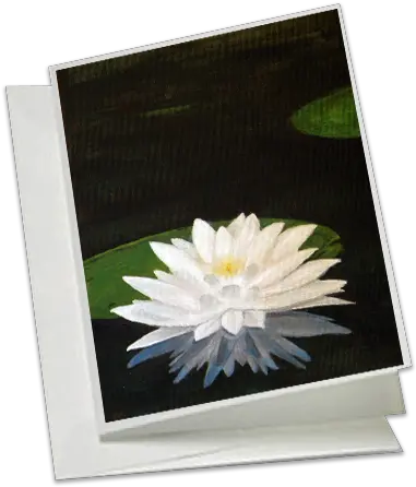  Download Hd Water Lily Water Lilies Transparent Png Water Lilies Lilies Png