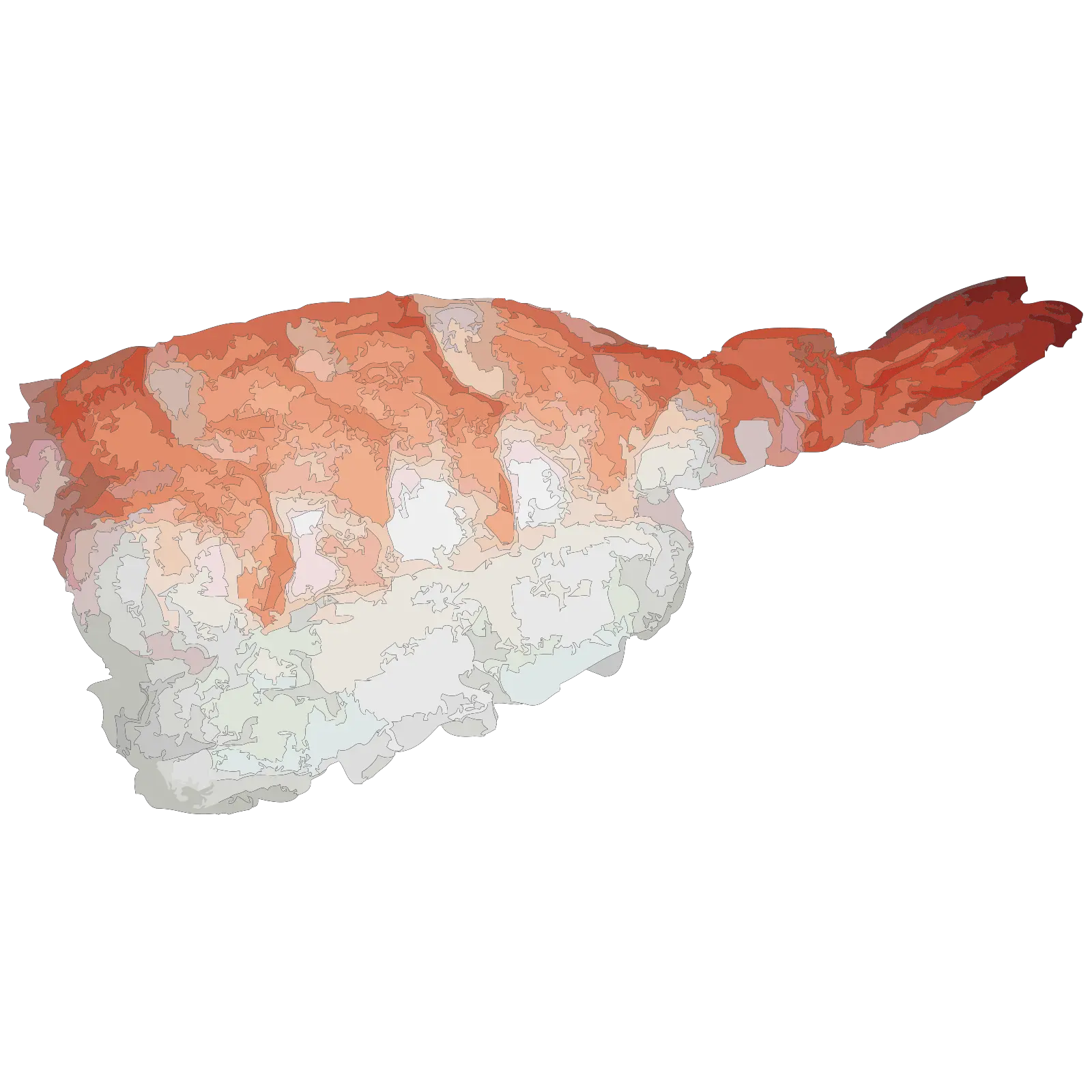  Japanese Sushi Asian Free Vector Graphic On Pixabay Ebi Sushi Png Shrimp Png