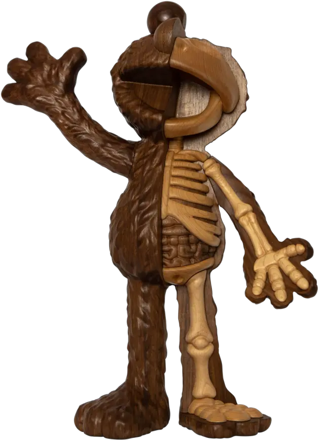  Woodworked Dissected Elmo Xxray Elmo Png Elmo Png