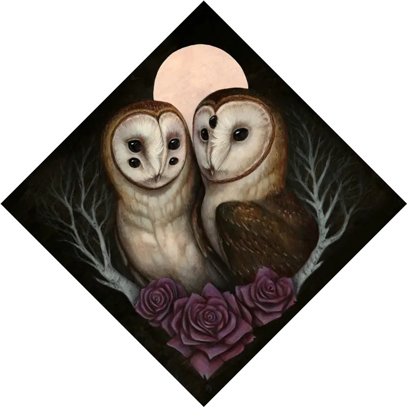  Barn Owl Couple Prints Skullgarden Barn Owl Png Barn Owl Png