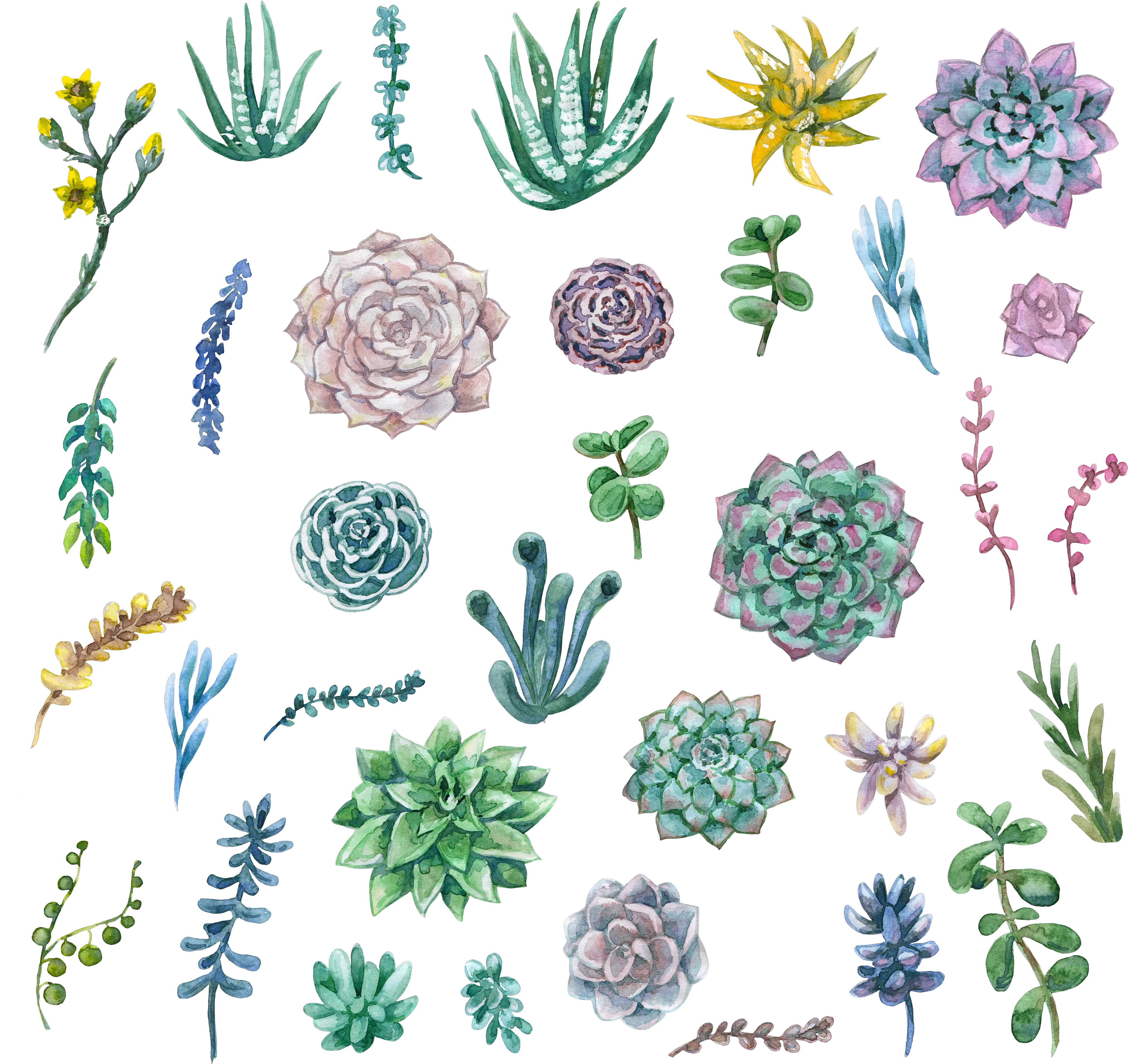  Succulent Svg Papercut Transparent U0026 Png Clipart Free Animated Succulent Succulent Png