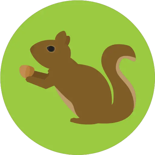  Squirrel Png Icon Squirrel Icon File Squirrel Transparent Background