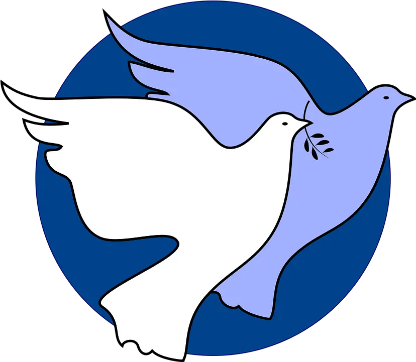  Dove Peace Unity Free Vector Graphic On Pixabay Peace Is In Our Hands Png Unity Png