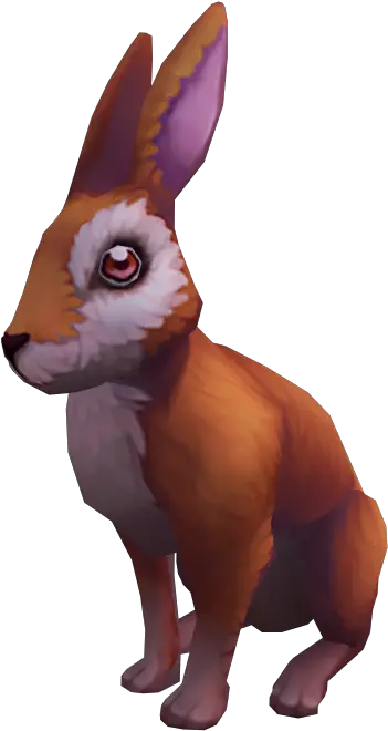  Rabbit Runescape Rabbit Png Rabbit Png