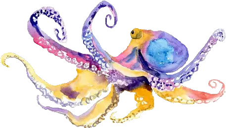  Pastel Watercolor Octopus Original Painting Octopus Watercolor Png Octopus Png