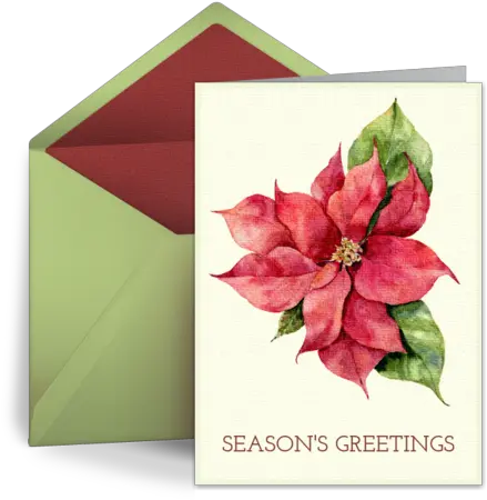  Christmas Ecard Greeting Card Horizontal Png Poinsettia Icon Png